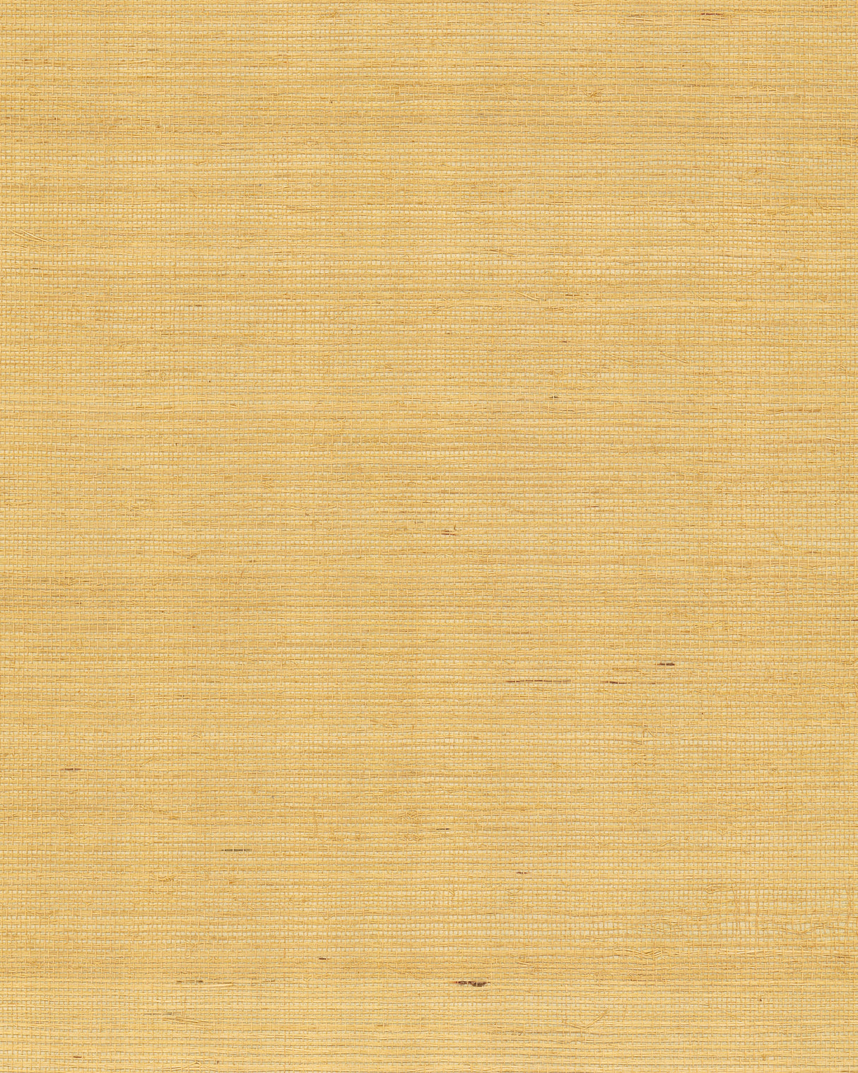 York GV0114NW Maguey Sisal Gold Wallpaper