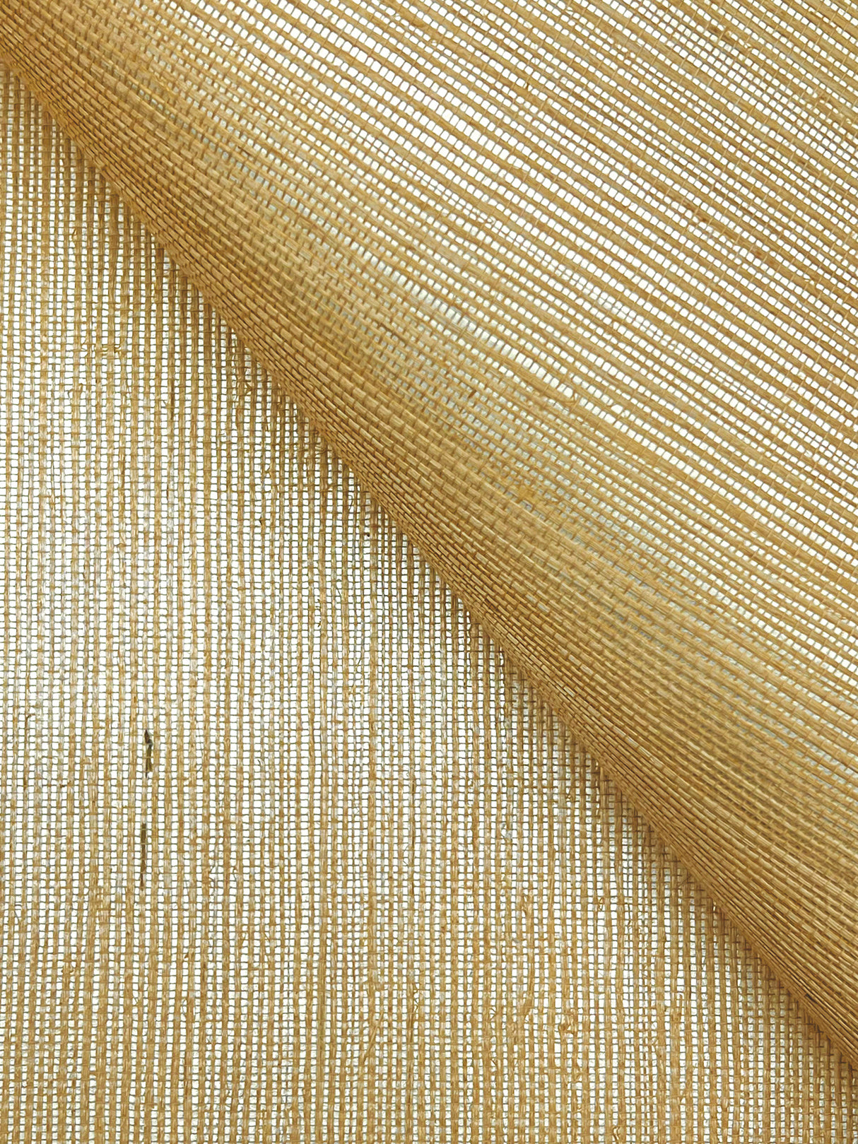 York GV0114NW Maguey Sisal Gold Wallpaper