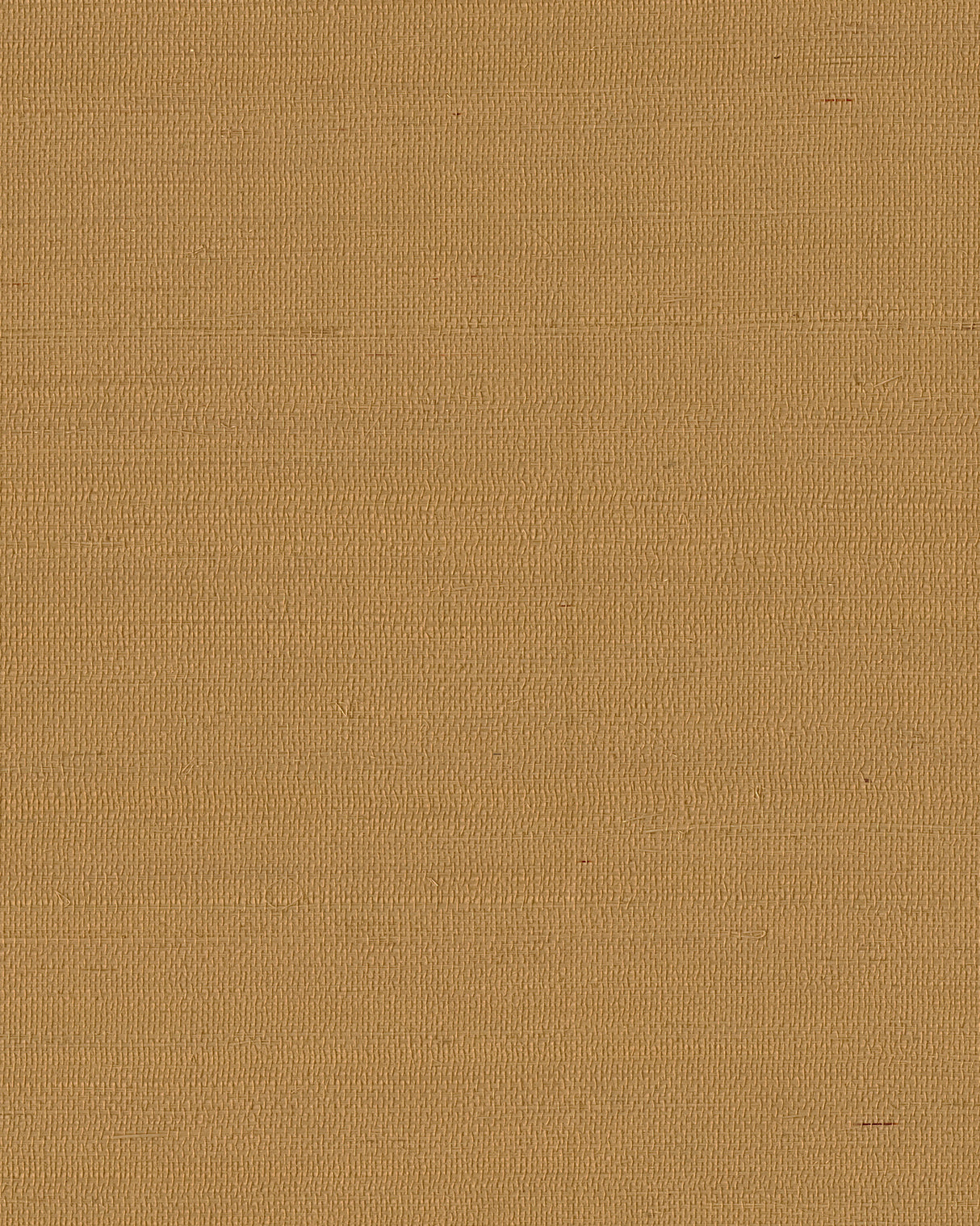 York GV0115NW Maguey Sisal Dijon Wallpaper