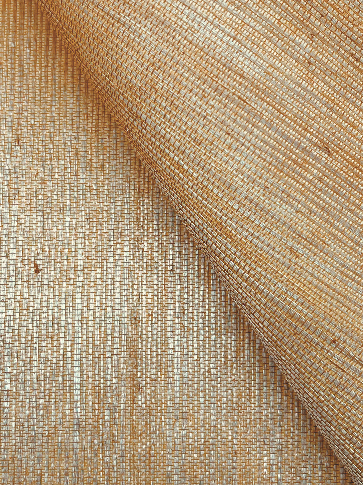 York GV0115NW Maguey Sisal Dijon Wallpaper