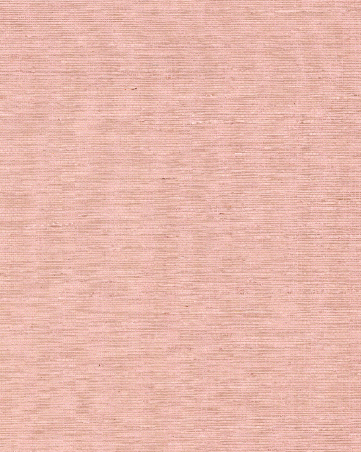 York GV0125NW Maguey Sisal Petal Wallpaper