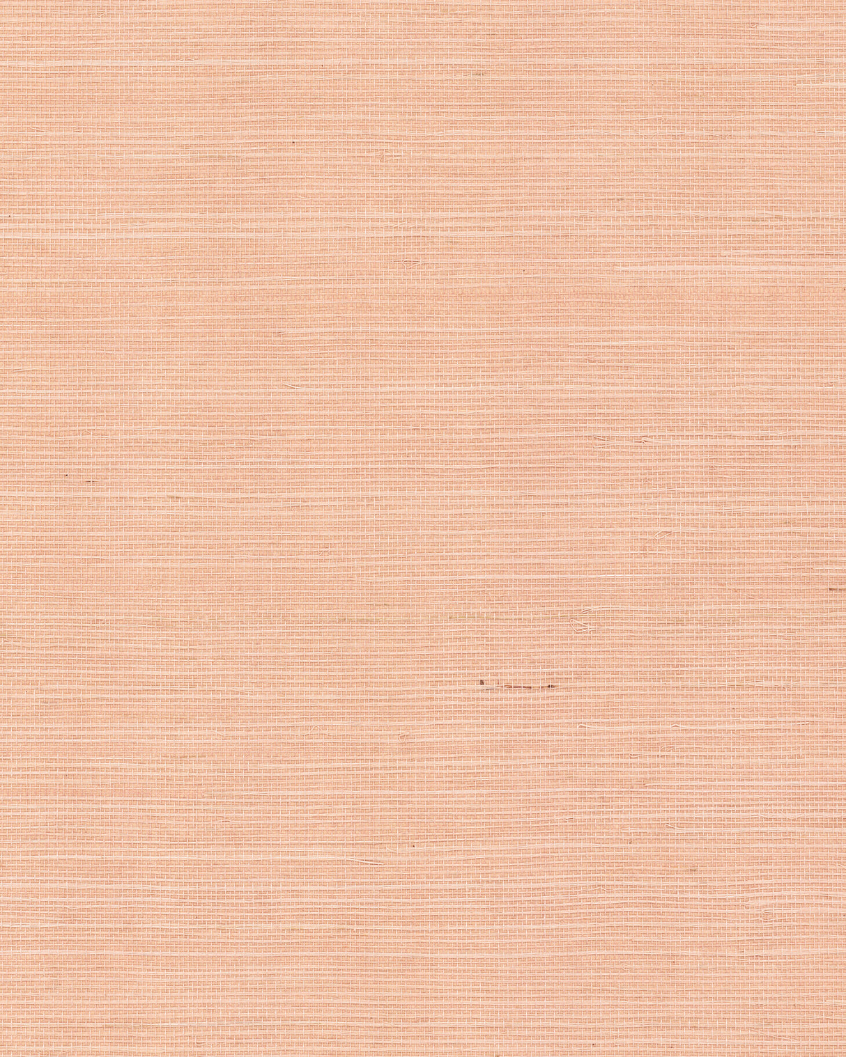 York GV0126NW Maguey Sisal Cameo Wallpaper