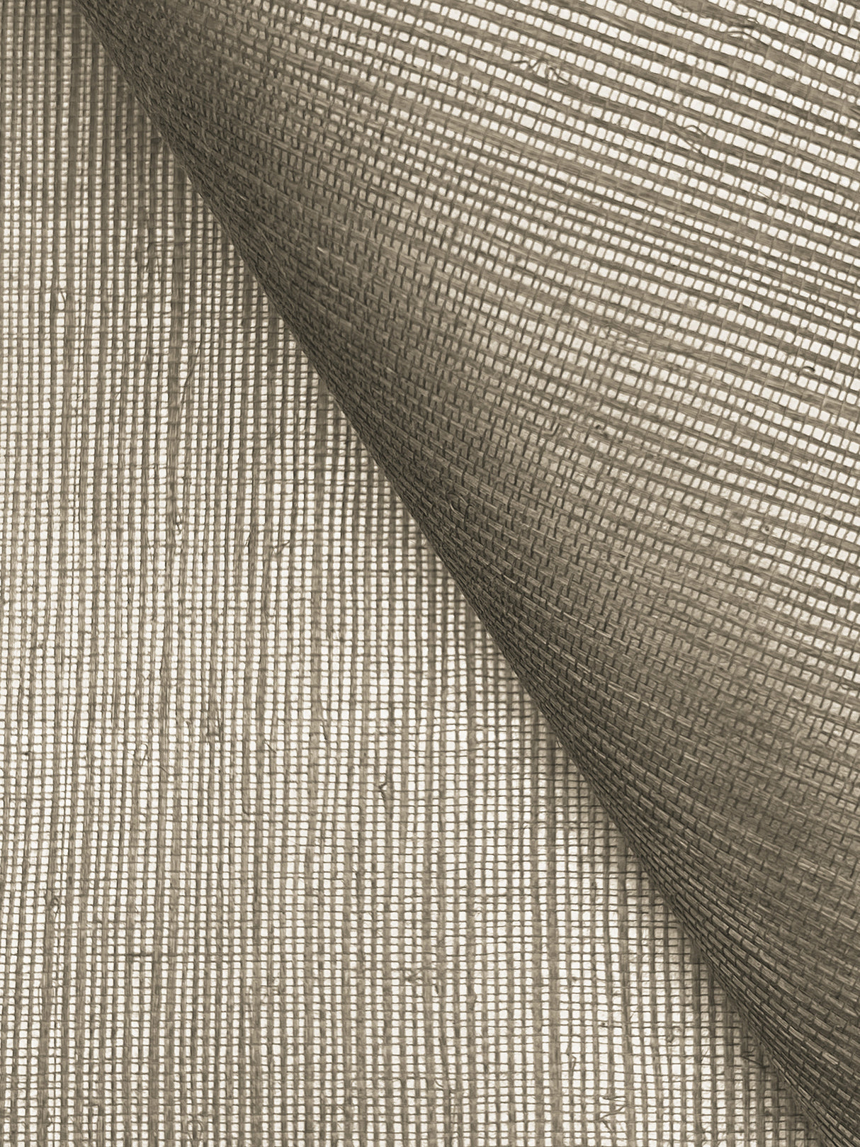 York GV0137NW Maguey Sisal Taupe Wallpaper