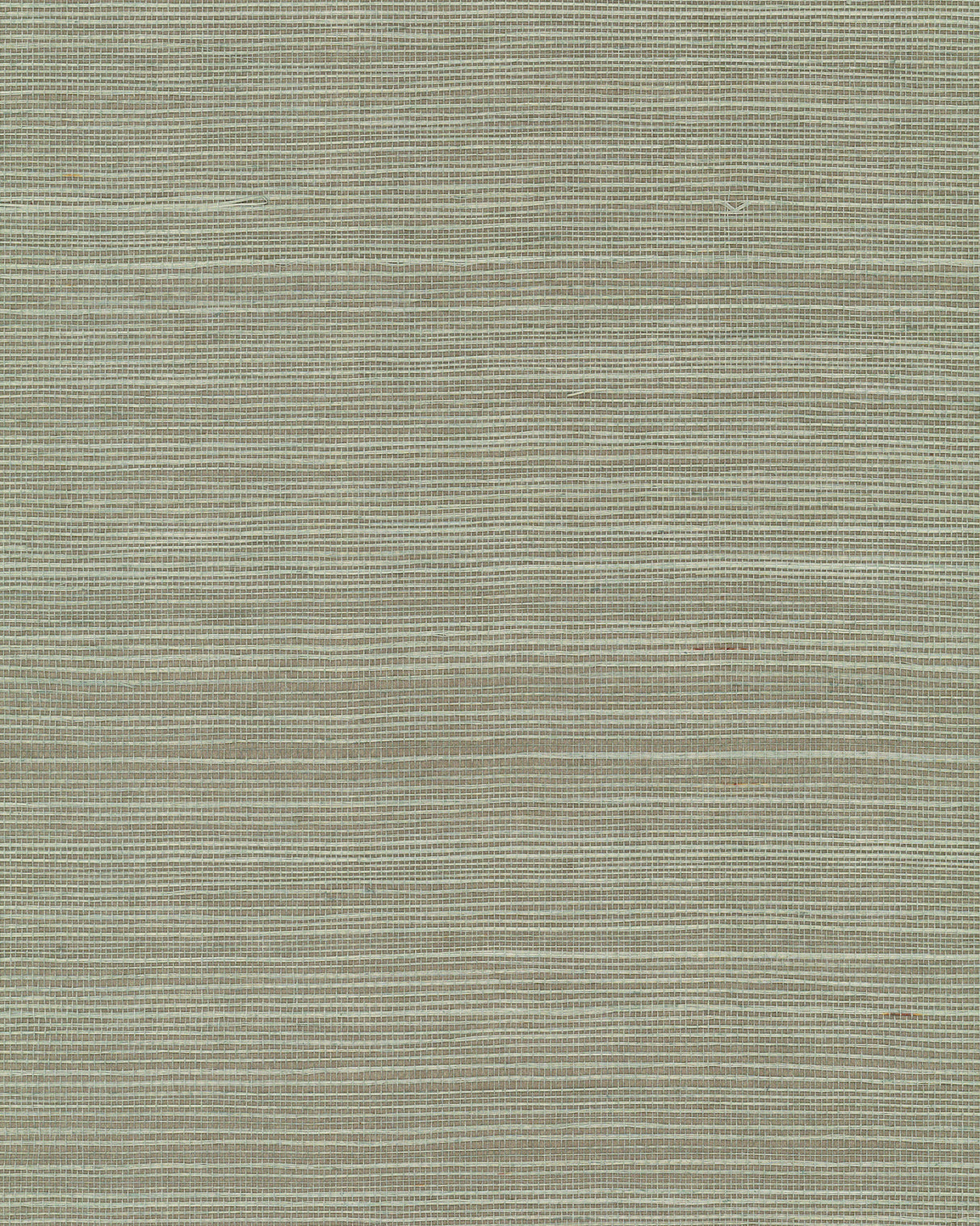York GV0144NW Maguey Sisal Pine Wallpaper