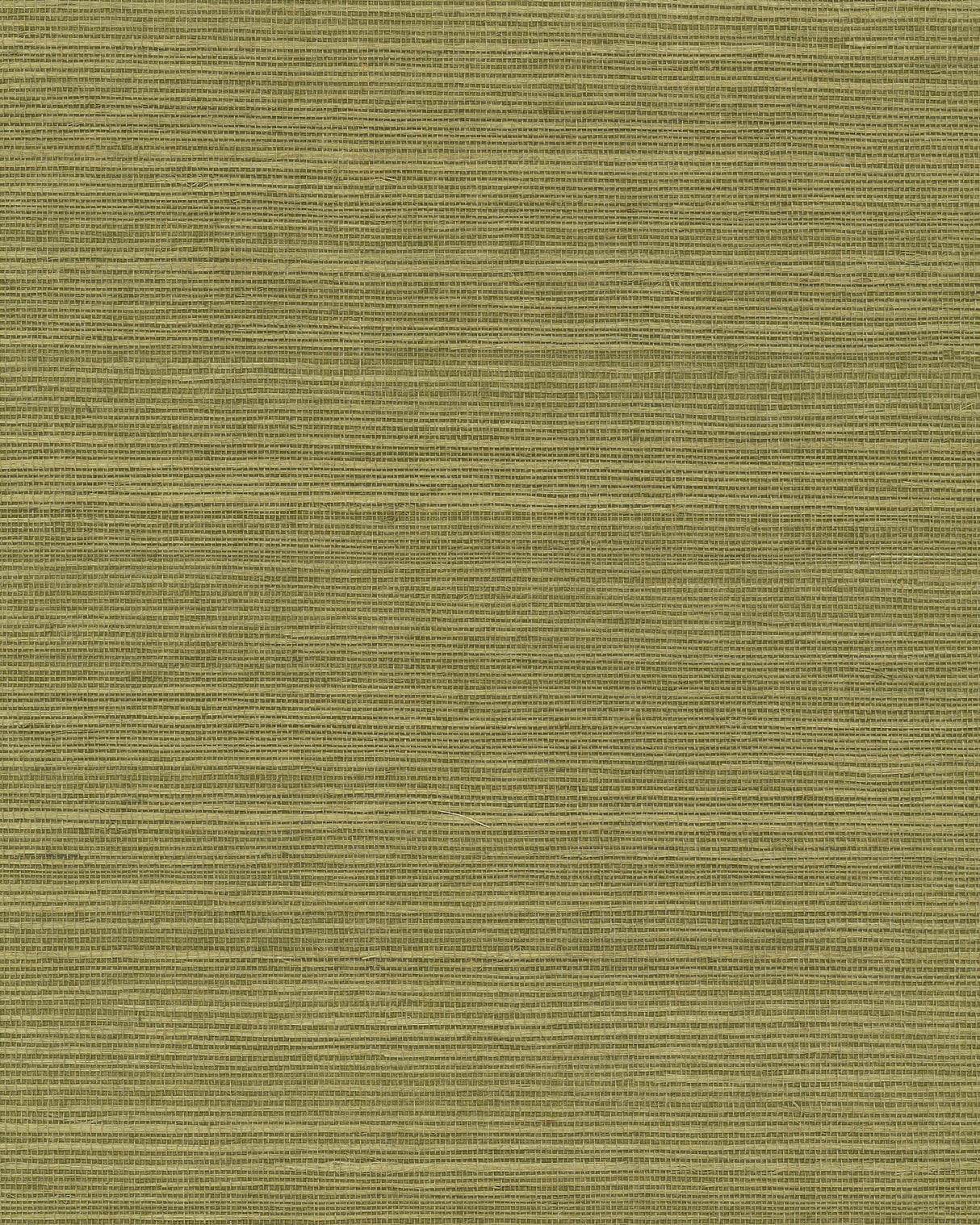York GV0145NW Maguey Sisal Fern Wallpaper