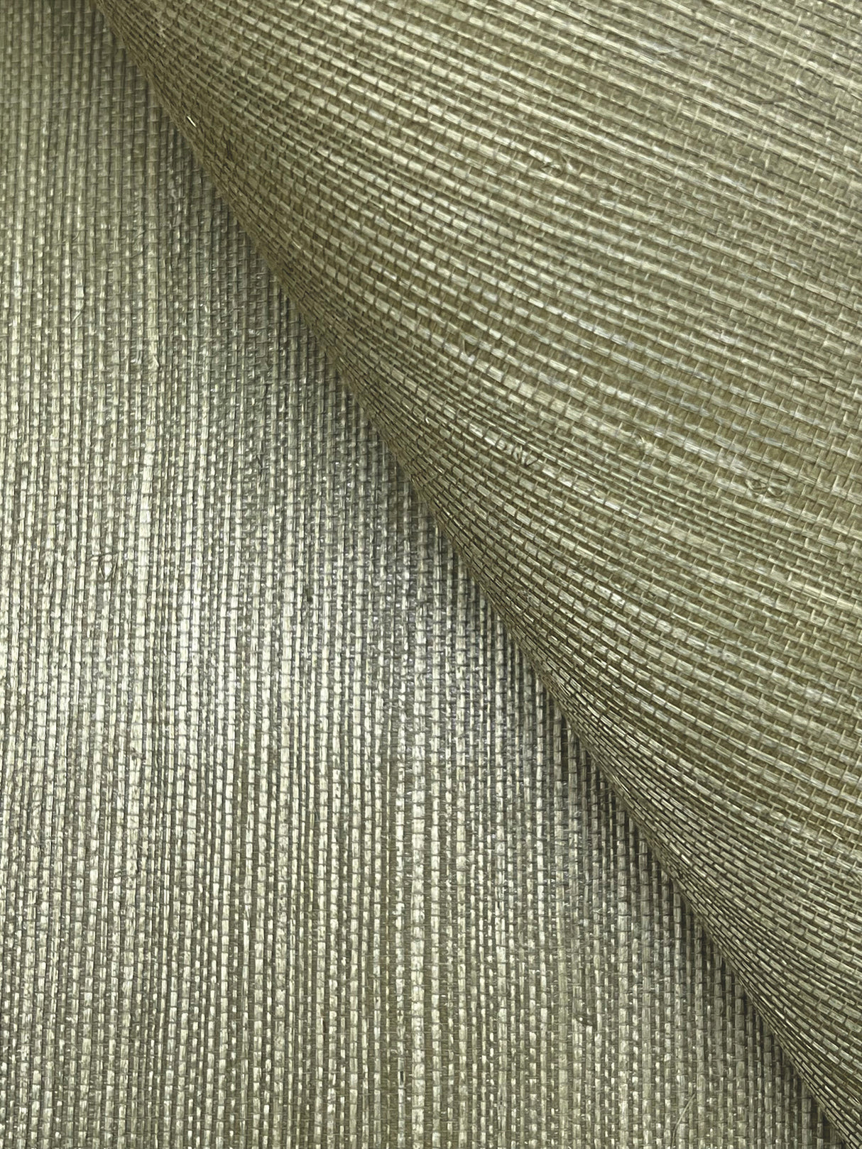 York GV0145NW Maguey Sisal Fern Wallpaper