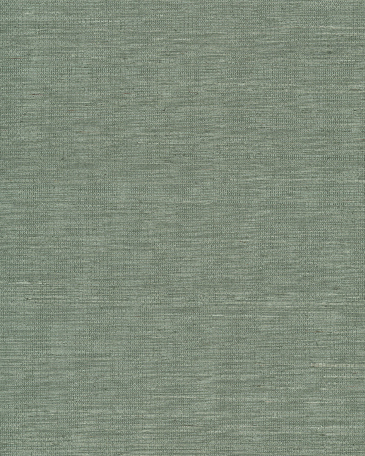 York GV0146NW Maguey Sisal Sage Wallpaper