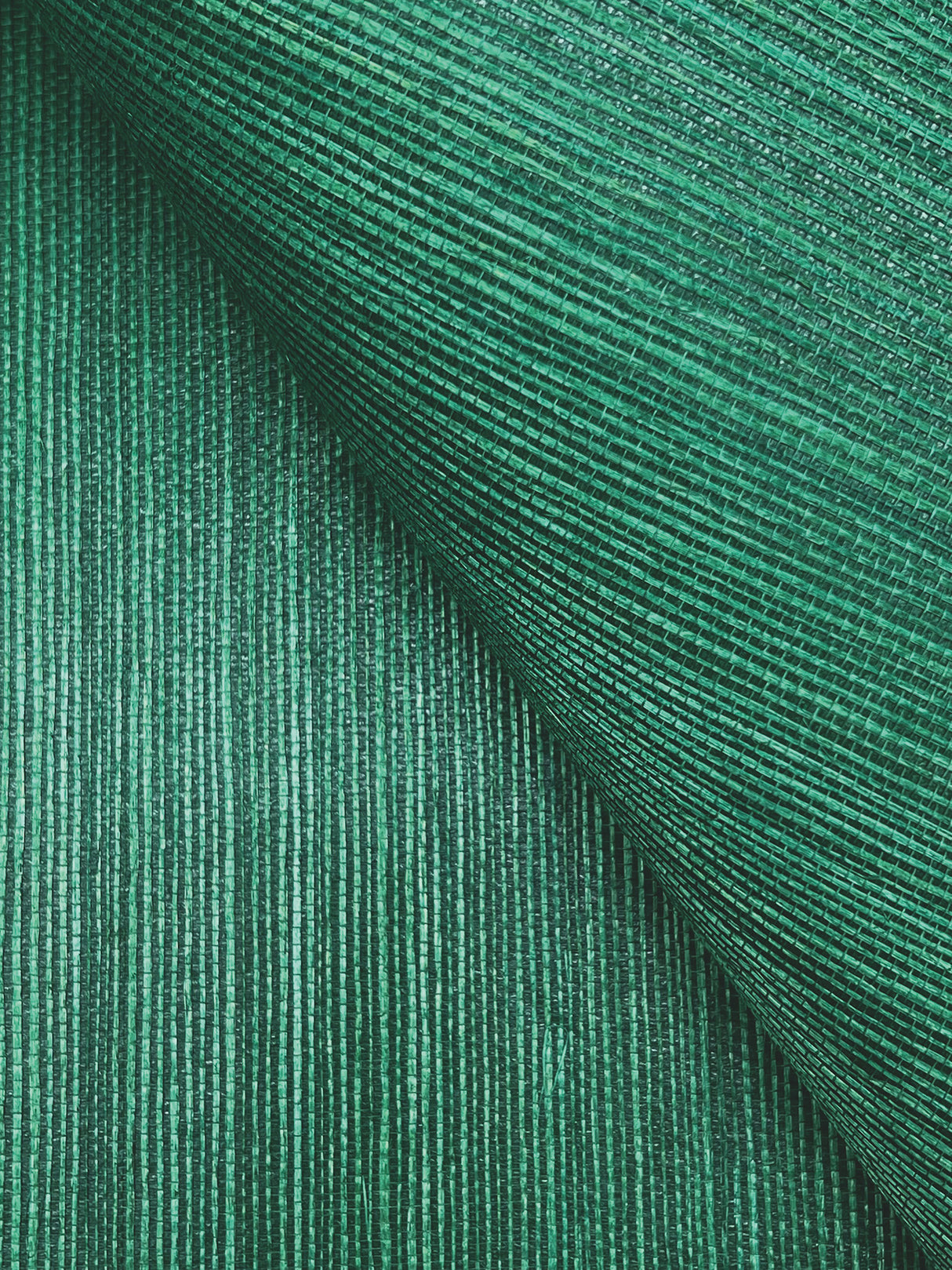 York GV0147NW Maguey Sisal Jade Wallpaper