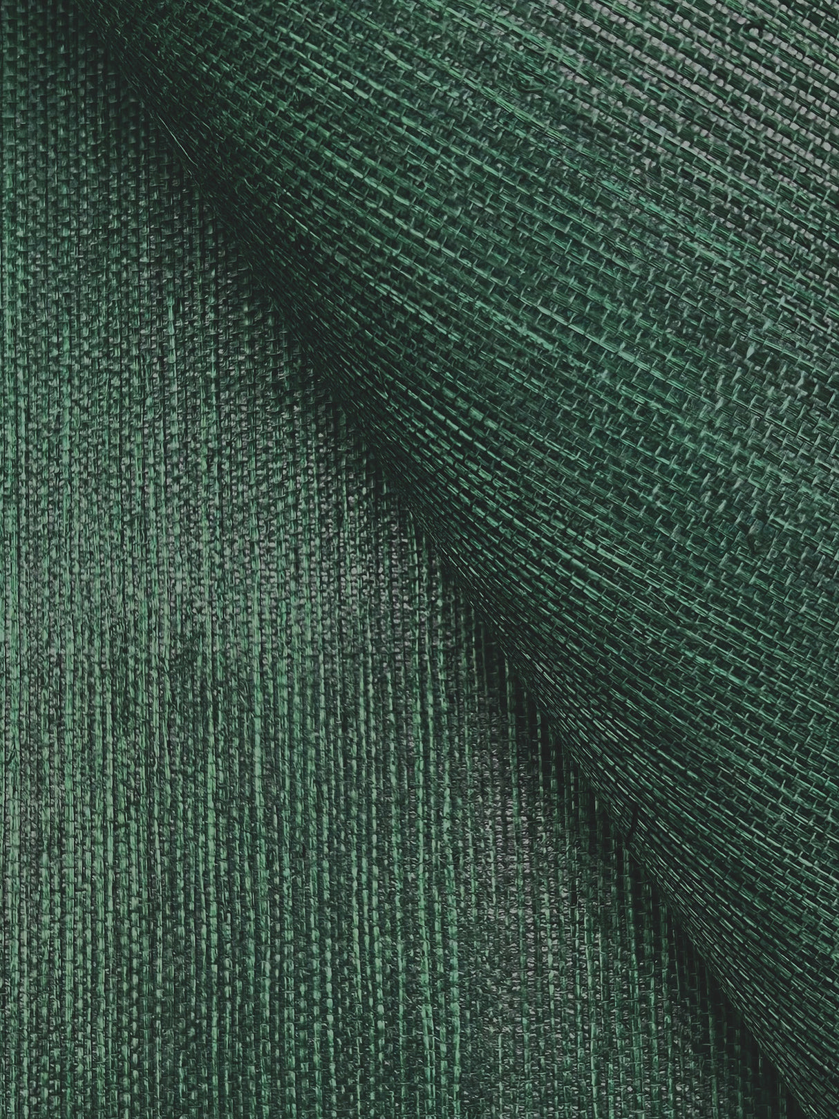 York GV0148NW Maguey Sisal Forest Wallpaper