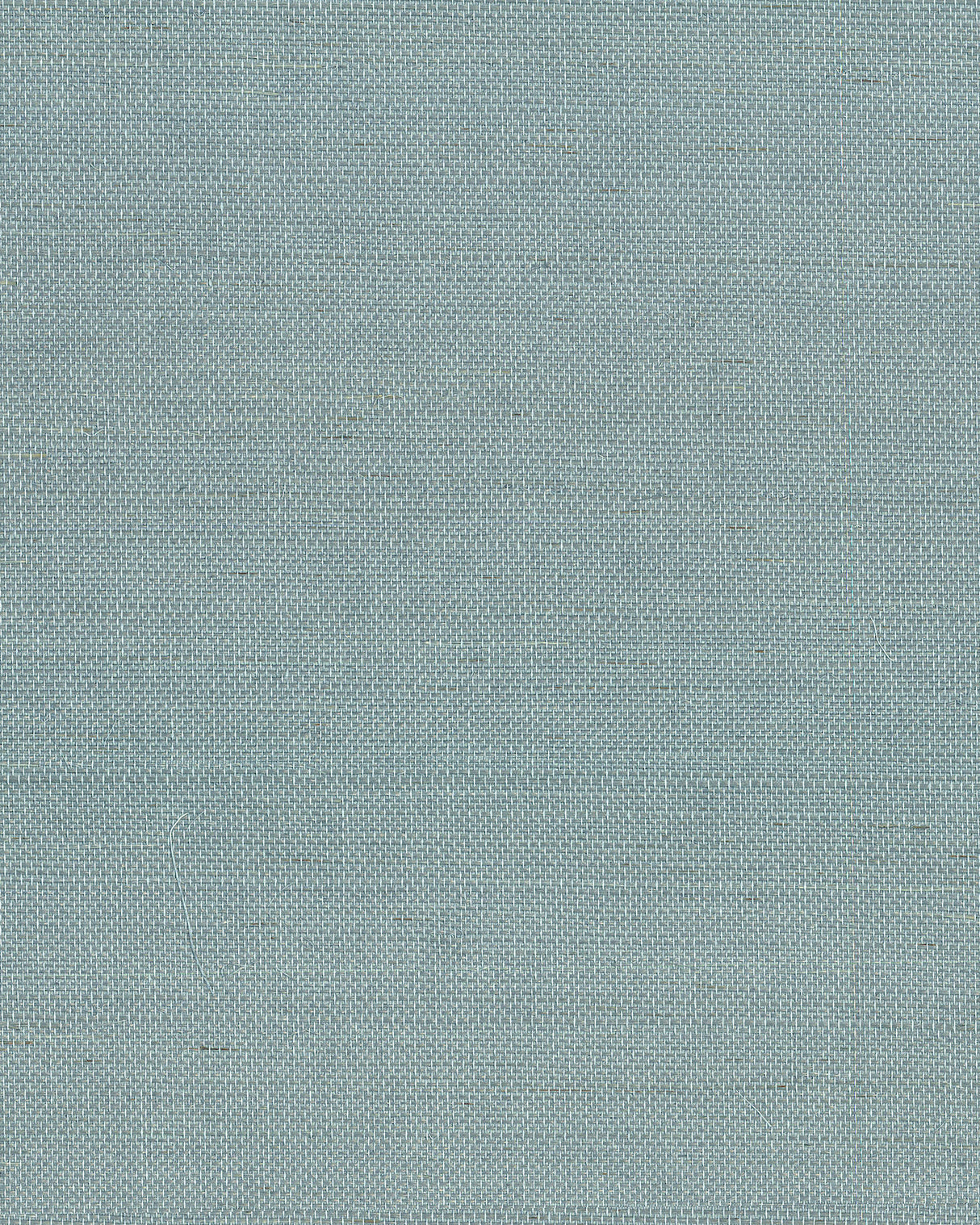 York GV0153NW Maguey Sisal Dragonfly Wallpaper