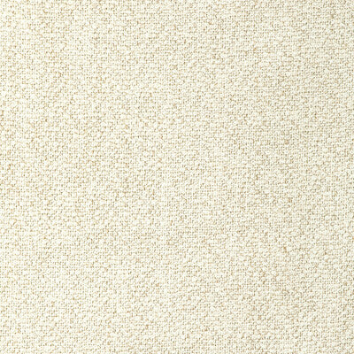 LEE JOFA MODERN GWF-3793.1.0 TORUS SNOW Fabric - Eade's Wallpaper