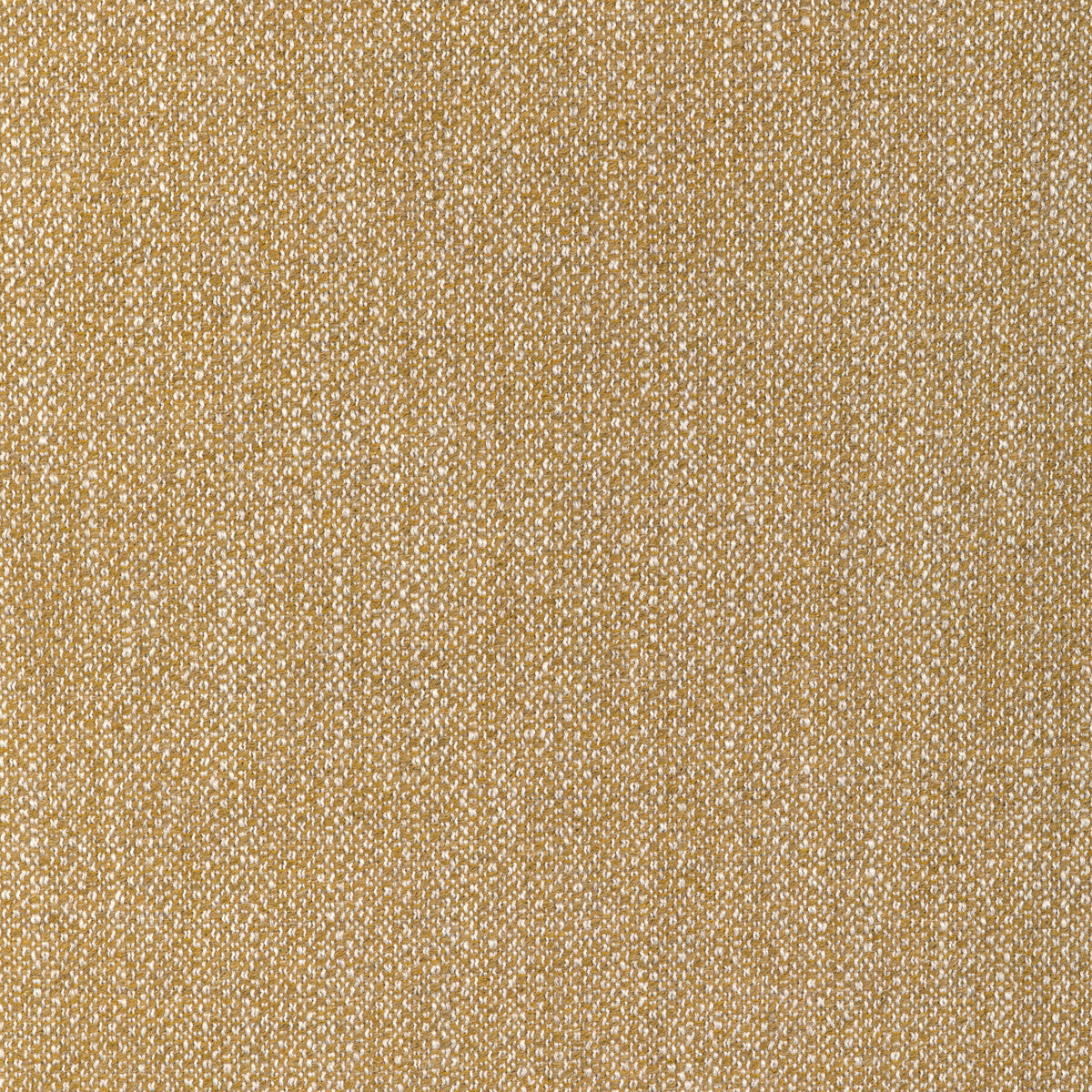 LEE JOFA MODERN GWF-3793.416.0 TORUS GLOW Fabric - Eade's Wallpaper