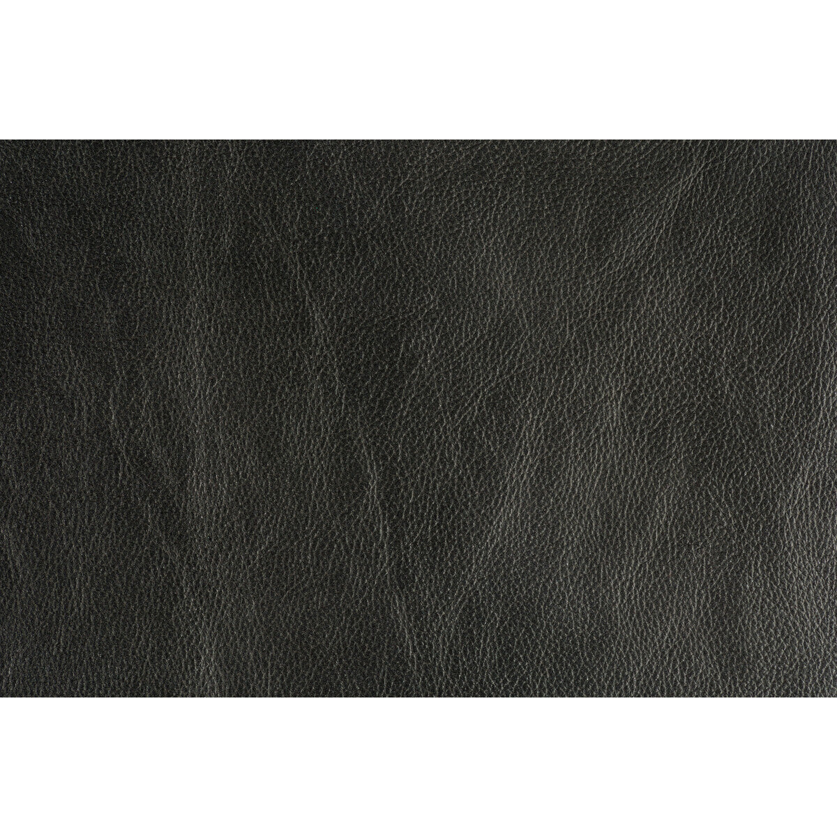 LEE JOFA MODERN GWL-3406.8.0 TROPHY GRAPHITE Fabric - Eade's Wallpaper