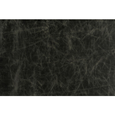 LEE JOFA MODERN GWL-3407.8.0 NOTORIOUS BLACK Fabric - Eade's Wallpaper