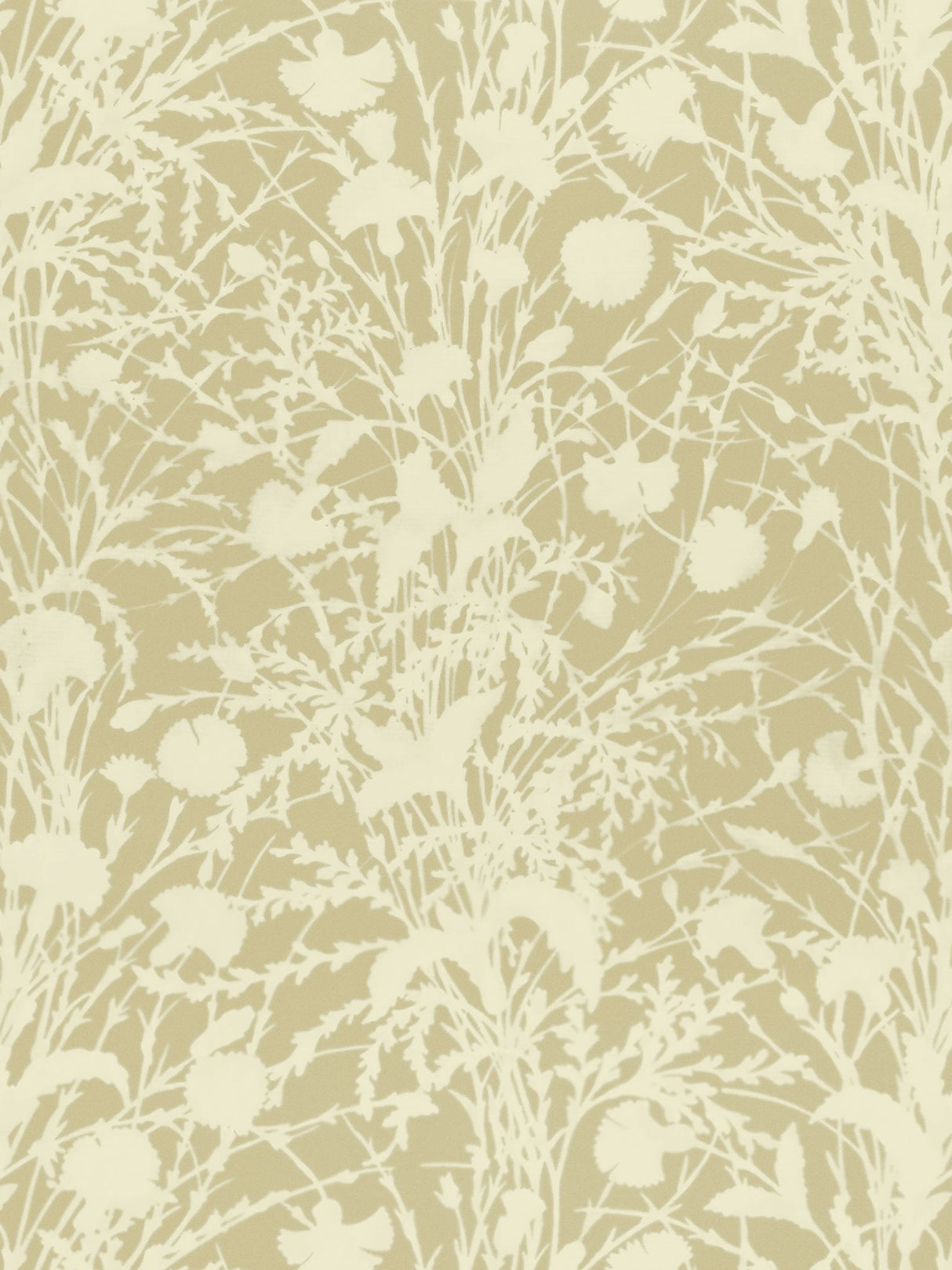 Scalamandre GW 000116623 OAT WILDFLOWER Fabric - Eade's Wallpaper