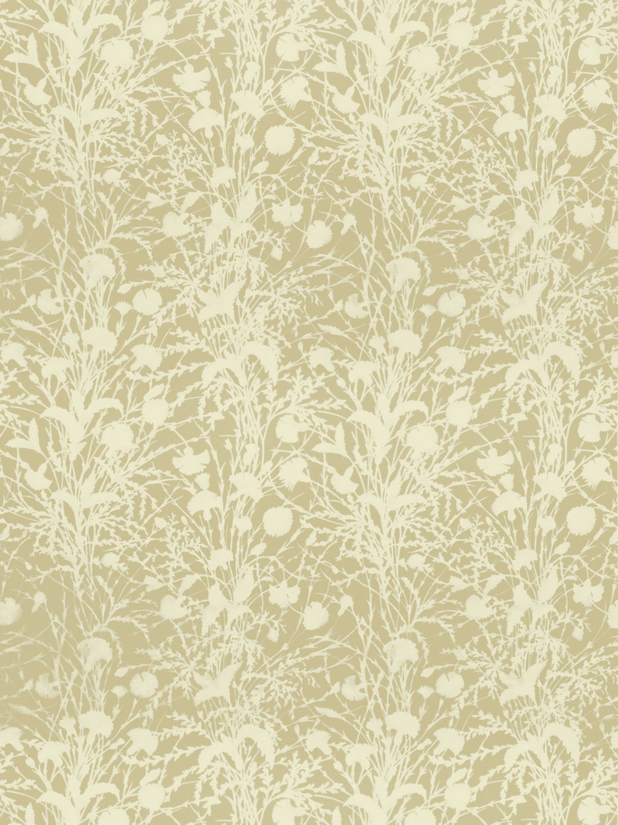 Scalamandre GW 000116623 OAT WILDFLOWER Fabric - Eade's Wallpaper