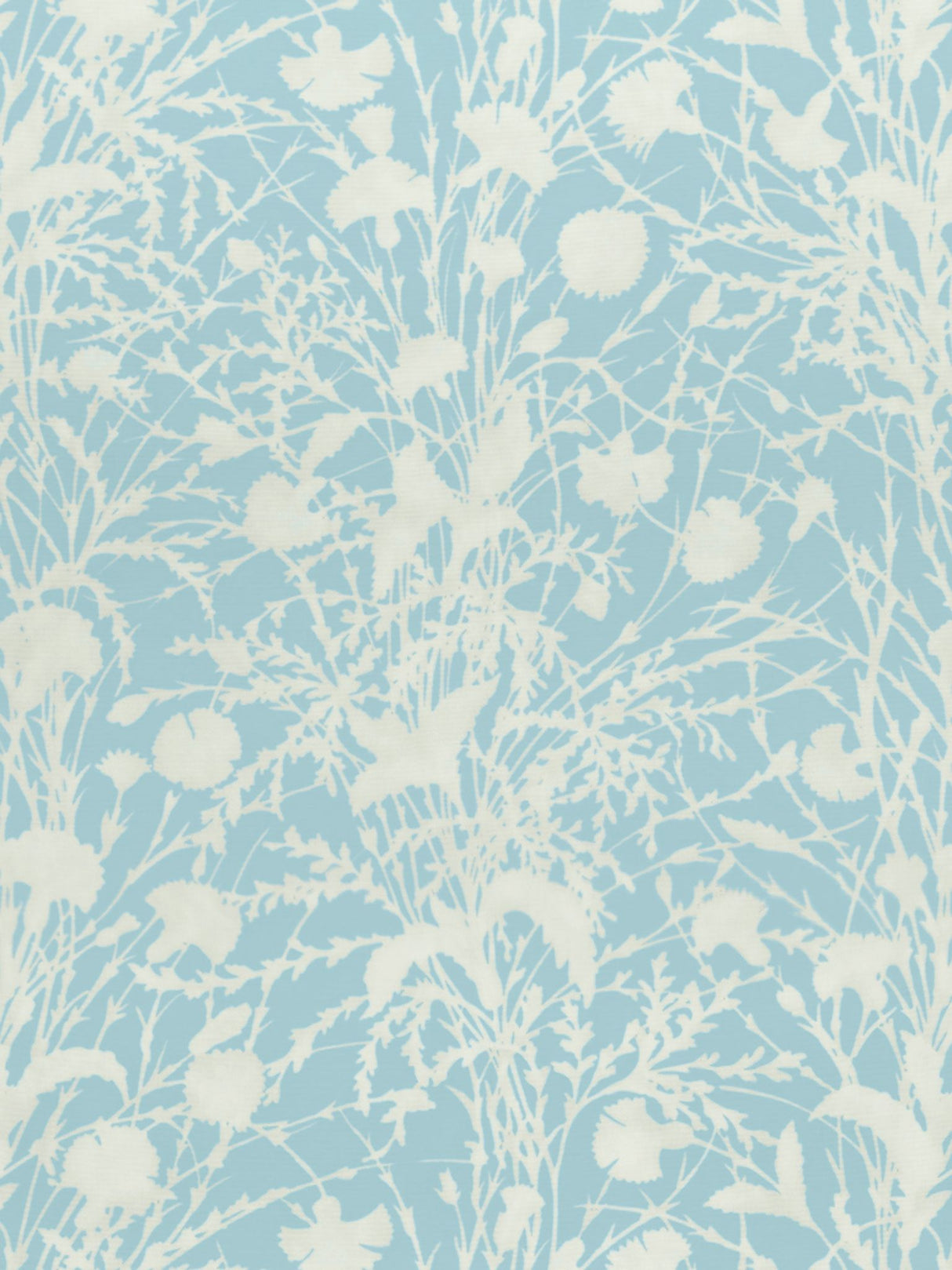 Scalamandre GW 000216623 MORNING SKY WILDFLOWER Fabric - Eade's Wallpaper