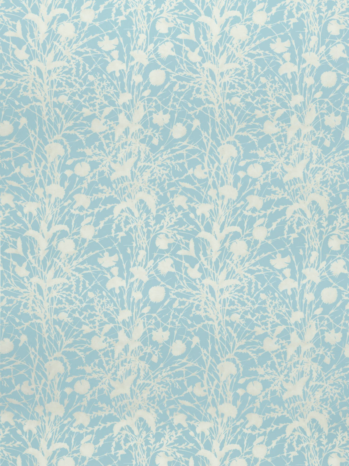 Scalamandre GW 000216623 MORNING SKY WILDFLOWER Fabric - Eade's Wallpaper