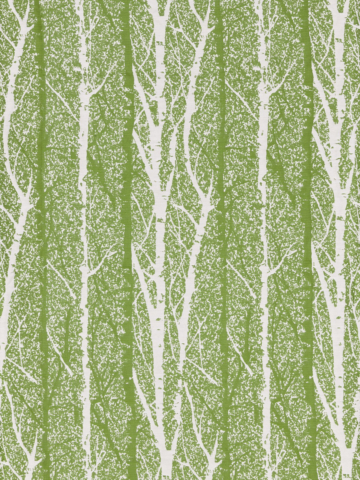 Scalamandre GW 000227205 SPRING GREEN BIRCH WEAVE Fabric - Eade's Wallpaper