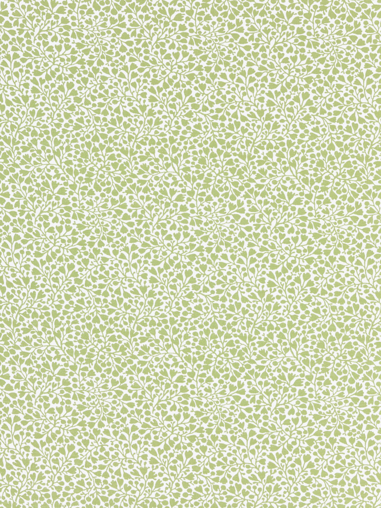Scalamandre GW 000227228 WILLOW ELODIE WEAVE Fabric - Eade's Wallpaper