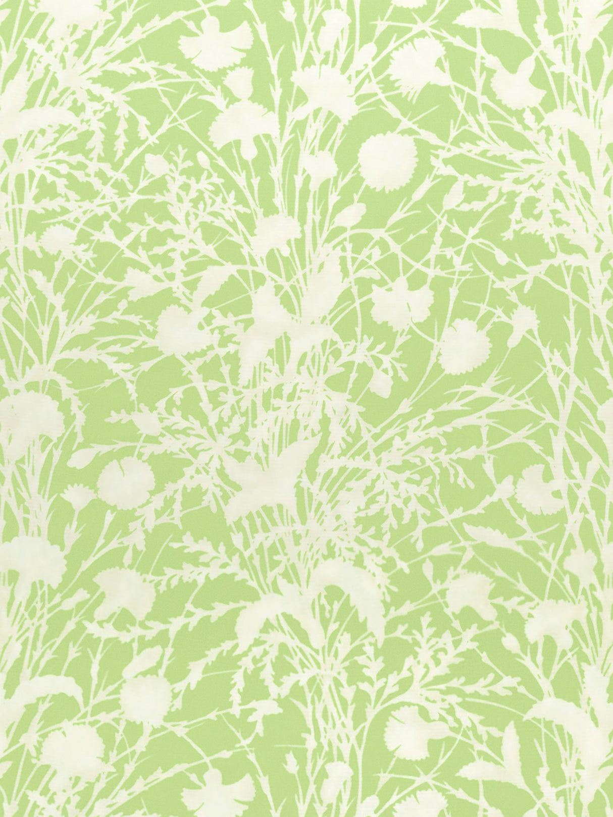 Scalamandre GW 000316623 GRASSHOPPER WILDFLOWER Fabric - Eade's Wallpaper