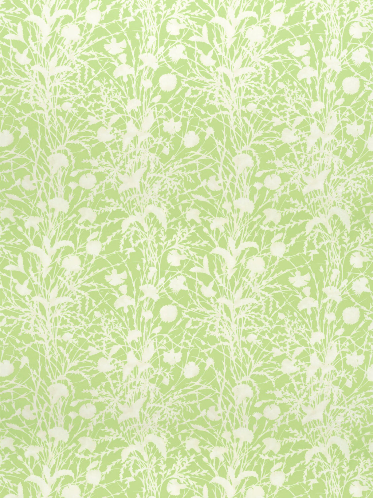 Scalamandre GW 000316623 GRASSHOPPER WILDFLOWER Fabric - Eade's Wallpaper