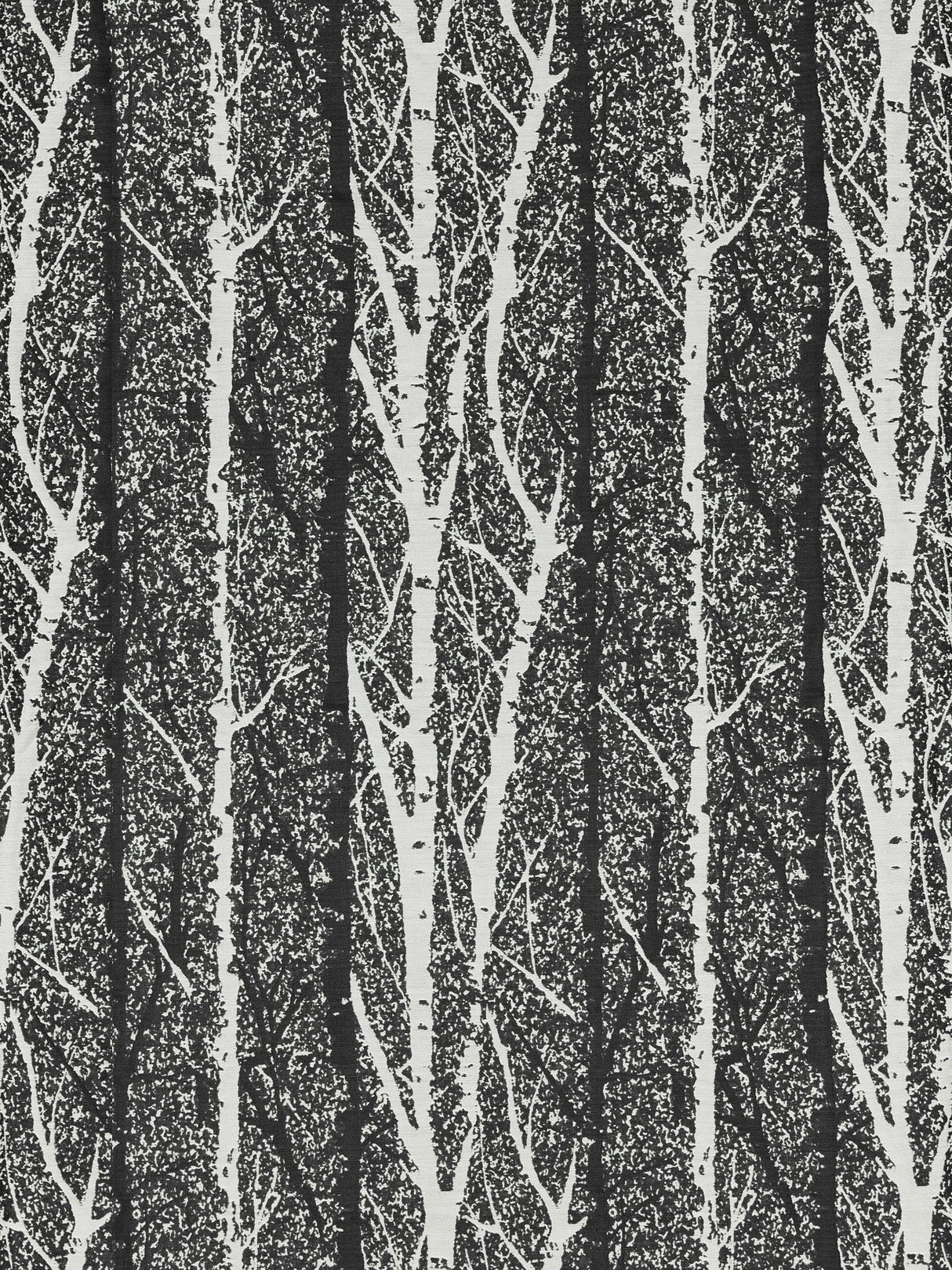Scalamandre GW 000327205 SHADOW BIRCH WEAVE Fabric - Eade's Wallpaper