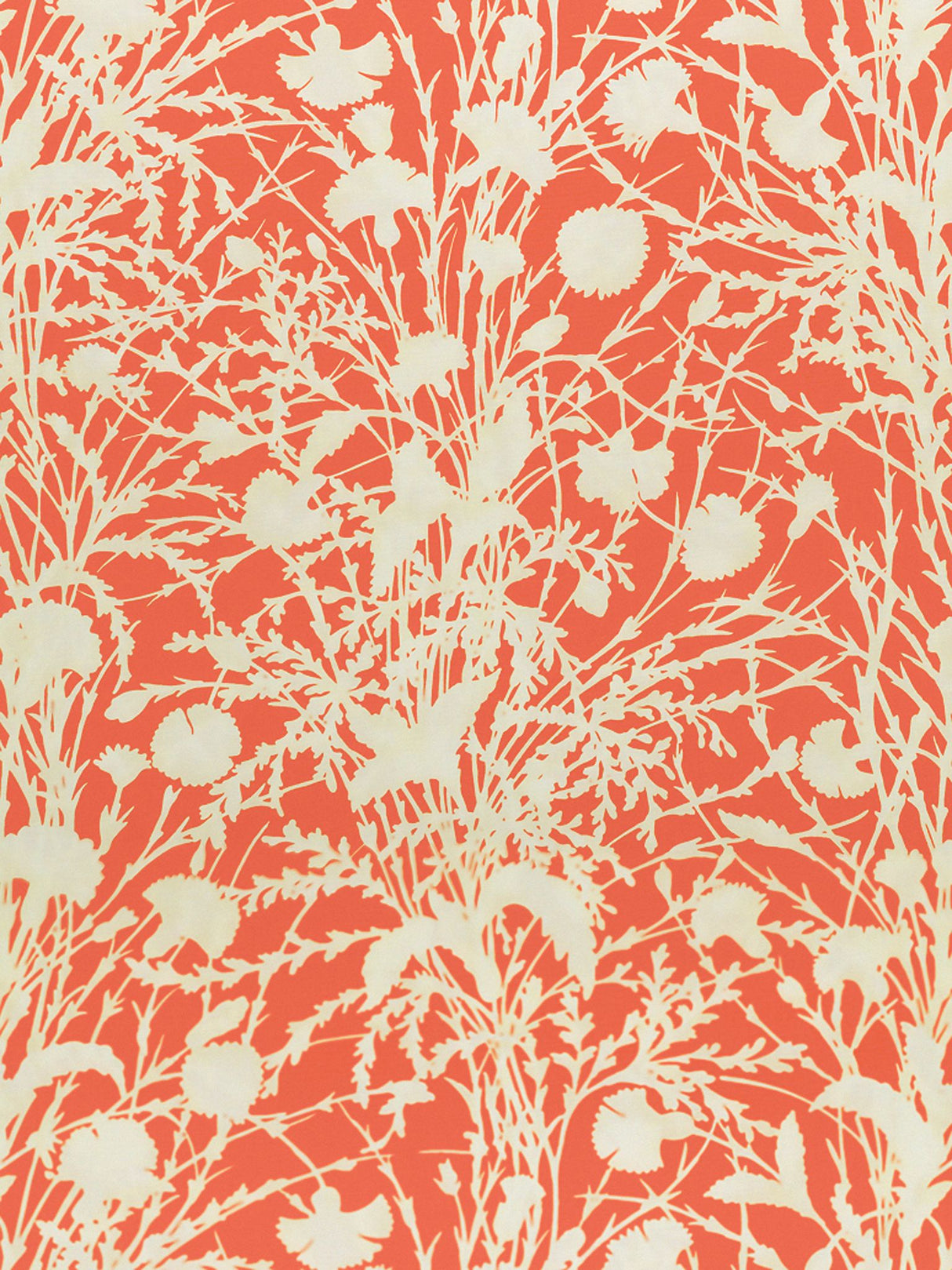 Scalamandre GW 000416623 GUAVA WILDFLOWER Fabric - Eade's Wallpaper