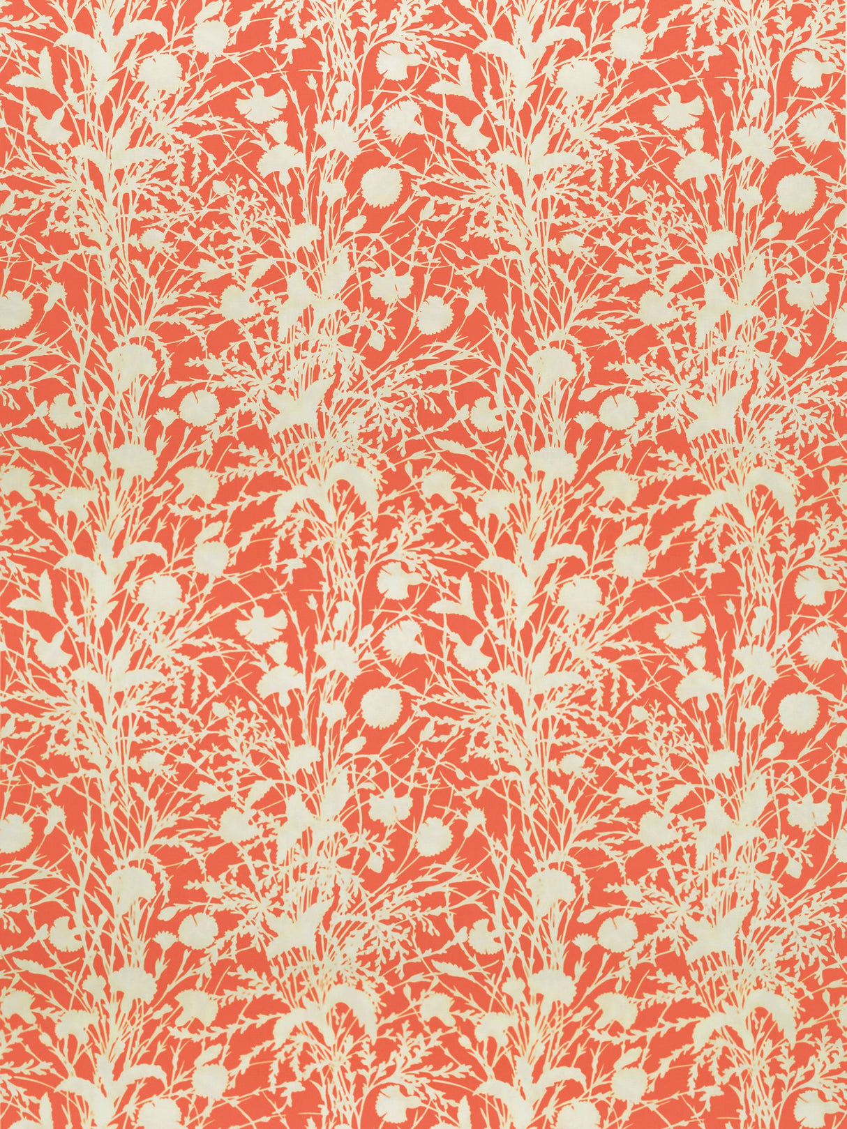Scalamandre GW 000416623 GUAVA WILDFLOWER Fabric - Eade's Wallpaper