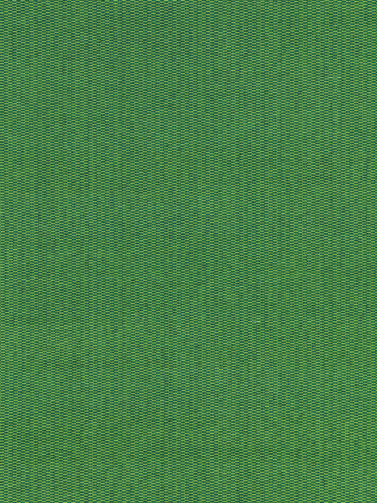 Scalamandre GW 000427212 PALM REED TEXTURE Fabric - Eade's Wallpaper