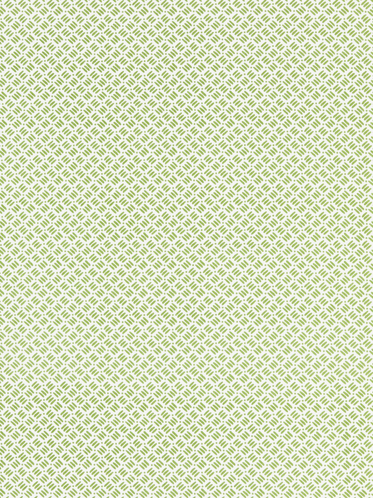 Scalamandre GW 000516618 SUGAR SNAP DASH & DOT PRINT Fabric - Eade's Wallpaper