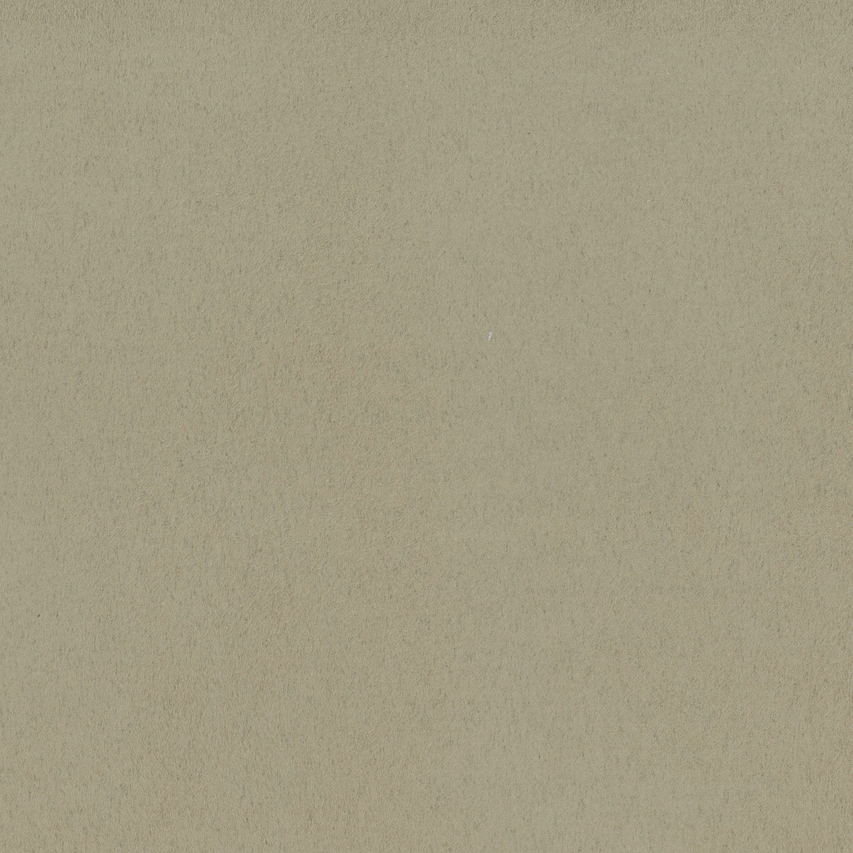 Scalamandre H6 0002SARA BUCKWHEAT SARABELLE SUEDE Fabric - Eade's Wallpaper
