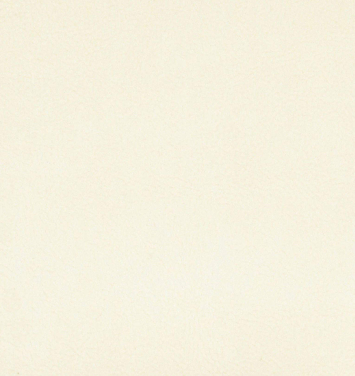 Scalamandre H6 37425937 CUSTARD GEORGIA SUEDE Fabric - Eade's Wallpaper