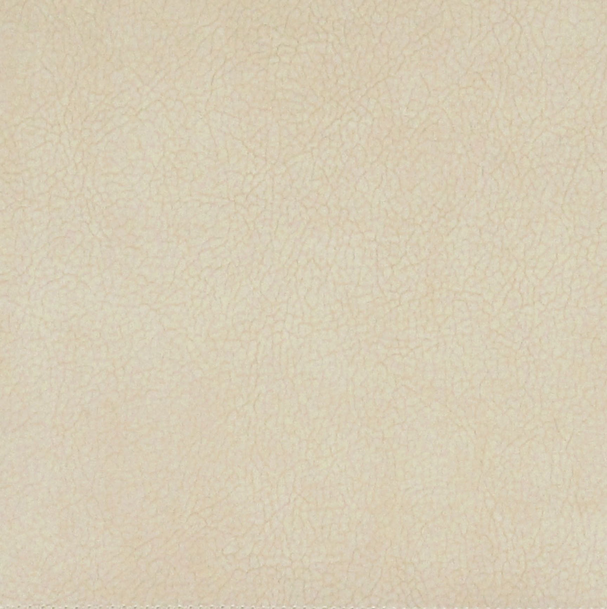 Scalamandre H6 37435937 MACADAMIA GEORGIA SUEDE Fabric - Eade's Wallpaper