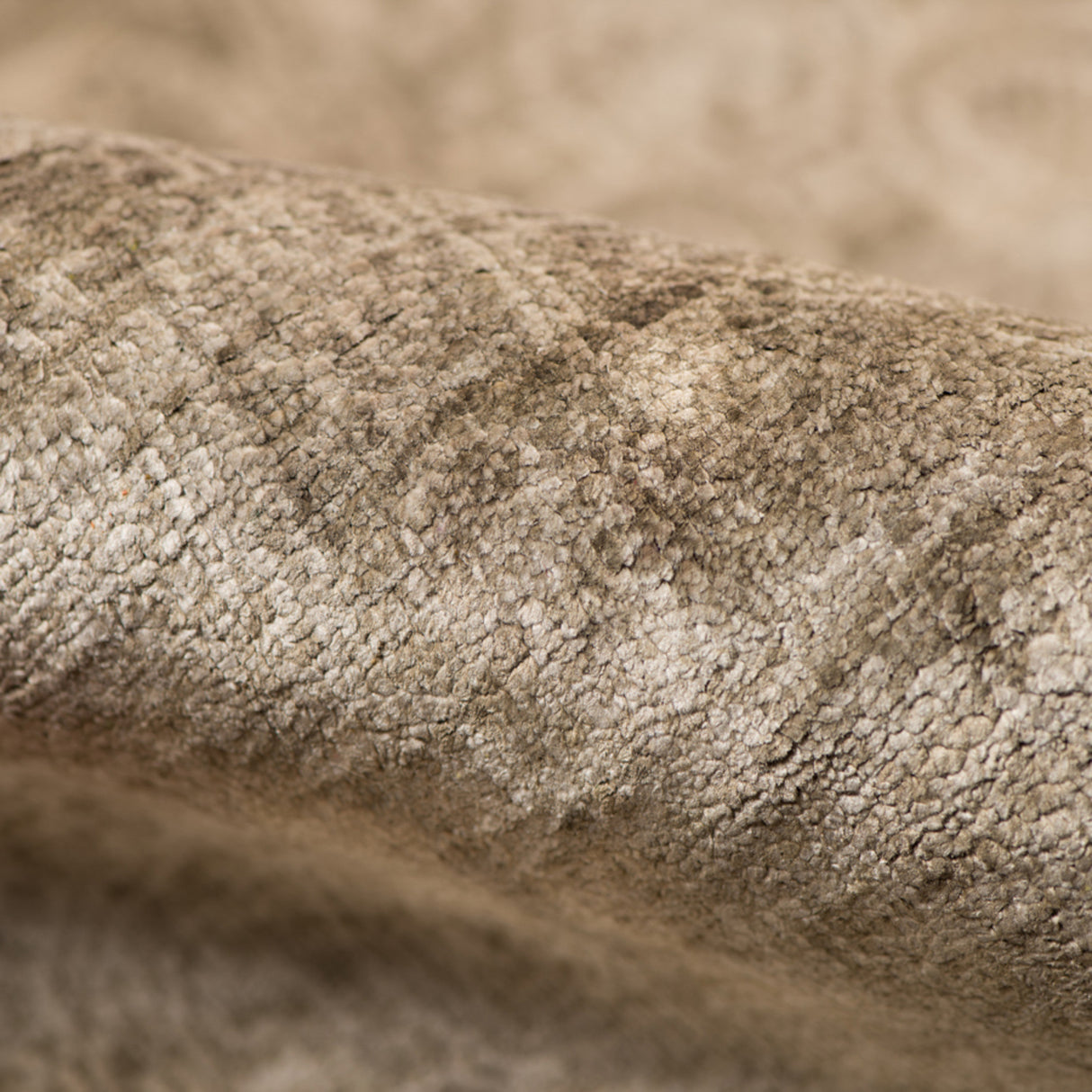 Amer Rugs HAL750912 Halcyon Persian Inspired Night Rider 9' X 12' Area Rug