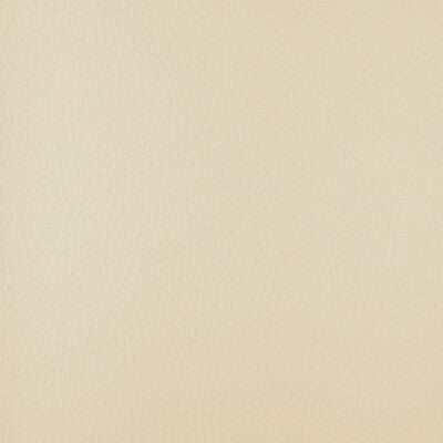 KRAVET DESIGN HARMONY.101.0 KRAVET DESIGN HARMONY-101 Fabric - FAUX LEATHER IV