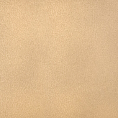 KRAVET DESIGN HARMONY.11.0 KRAVET DESIGN HARMONY-11 Fabric - FAUX LEATHER IV