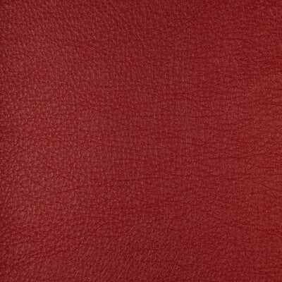 KRAVET DESIGN HARMONY.19.0 KRAVET DESIGN HARMONY-19 Fabric - FAUX LEATHER IV