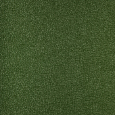 KRAVET DESIGN HARMONY.33.0 KRAVET DESIGN HARMONY-33 Fabric - FAUX LEATHER IV