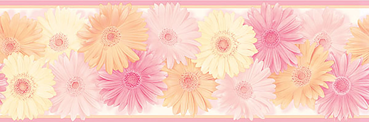 Chesapeake HAS83242B Becca Pink Daisy Chain Border