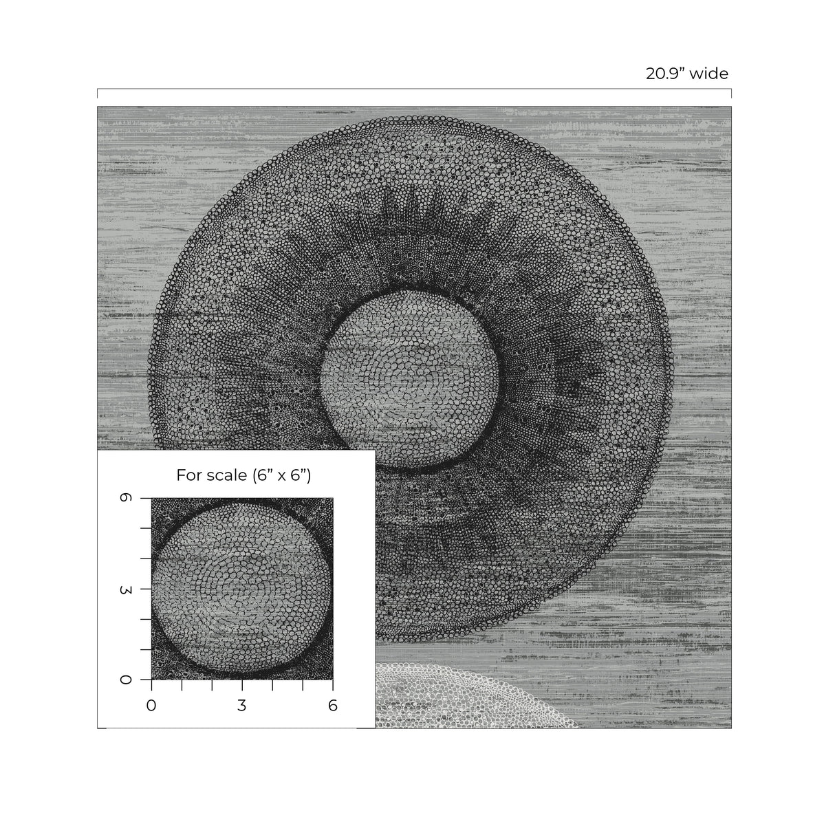 Harry & Grace HG11600 Wallpaper - Eade's Wallpaper & Fabric