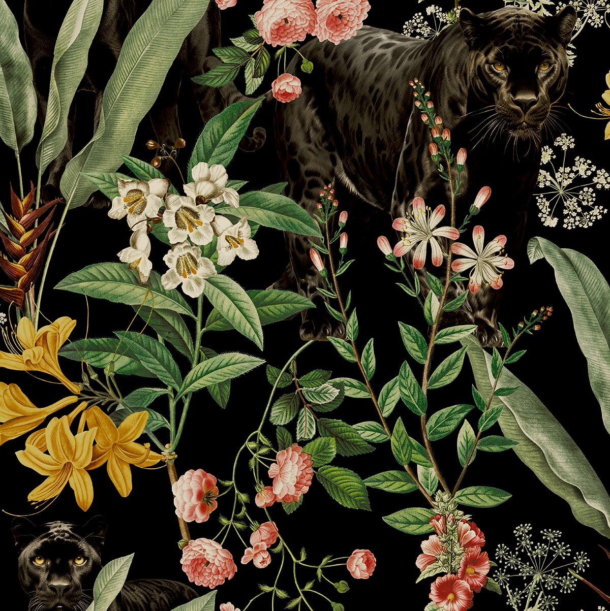 Harry & Grace HG13900 Panther Jungle Wallpaper
