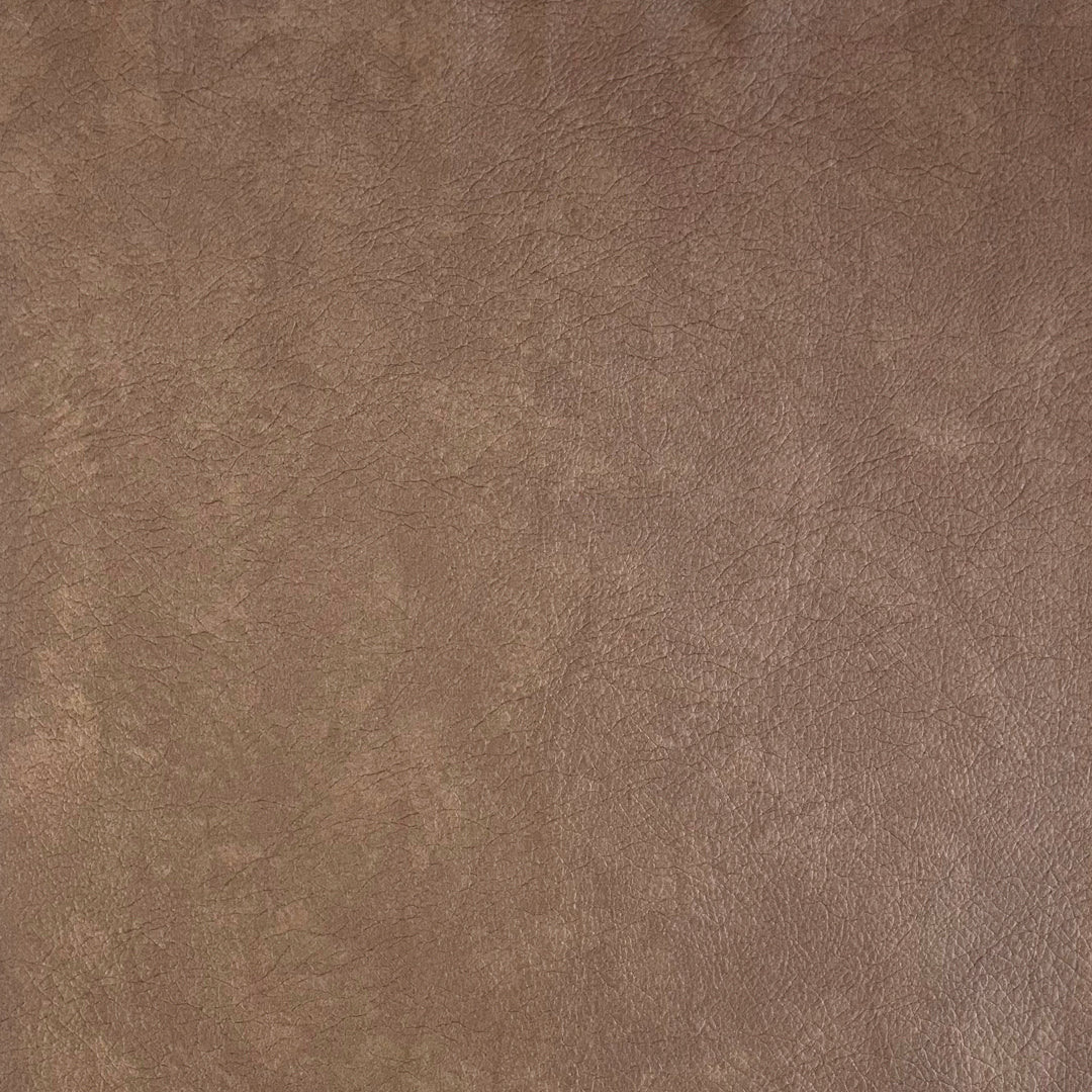 Eade’s # 740 COYOTE