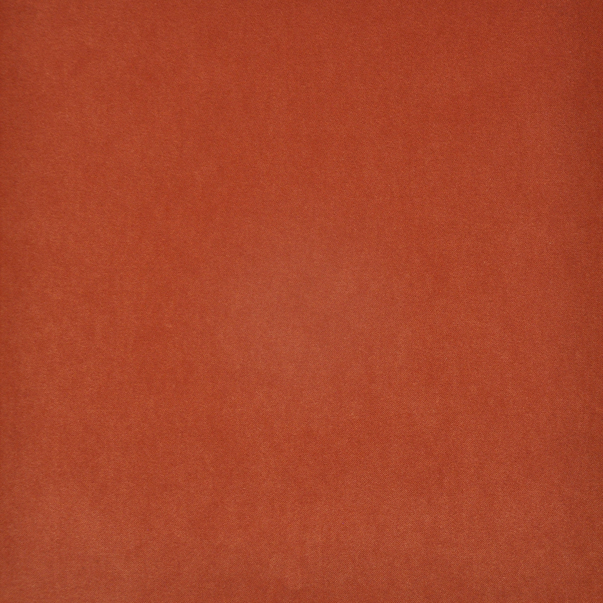 Eade’s # 726 TANGELO