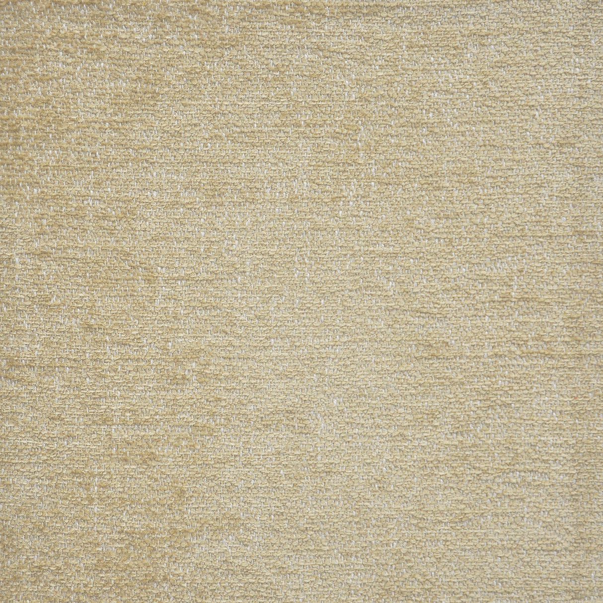 Eade’s # 154 TEDDY