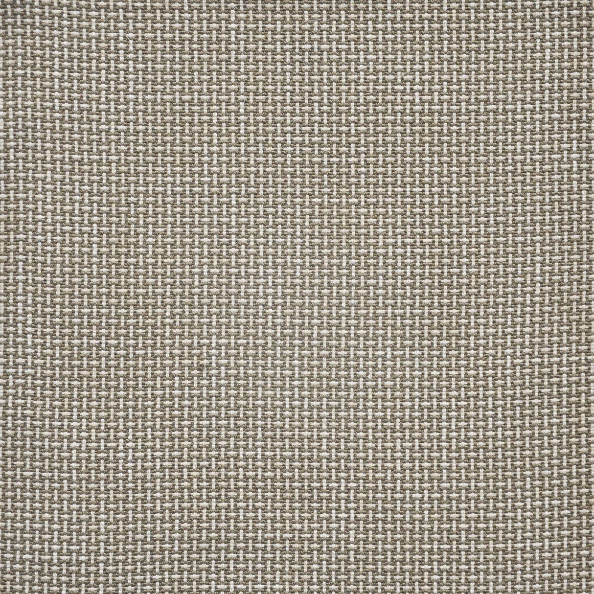 Eade’s # 166 MUSHROOM