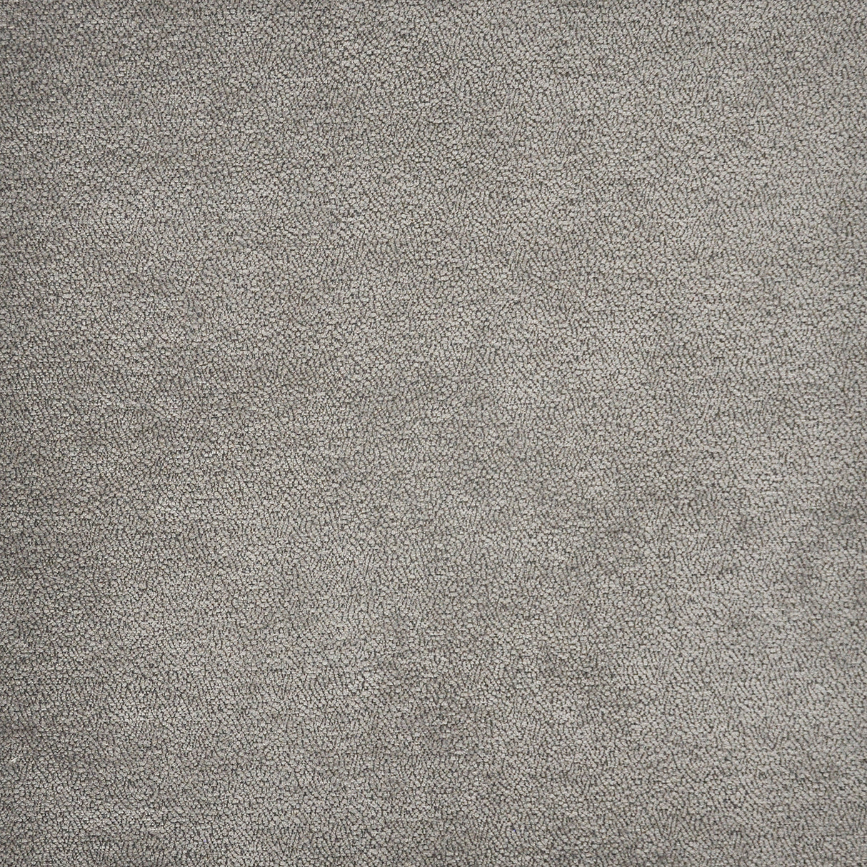 Eade’s # 607 CHINCHILLA