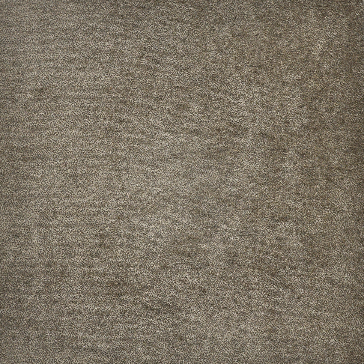 Eade’s # 657 ALMOND