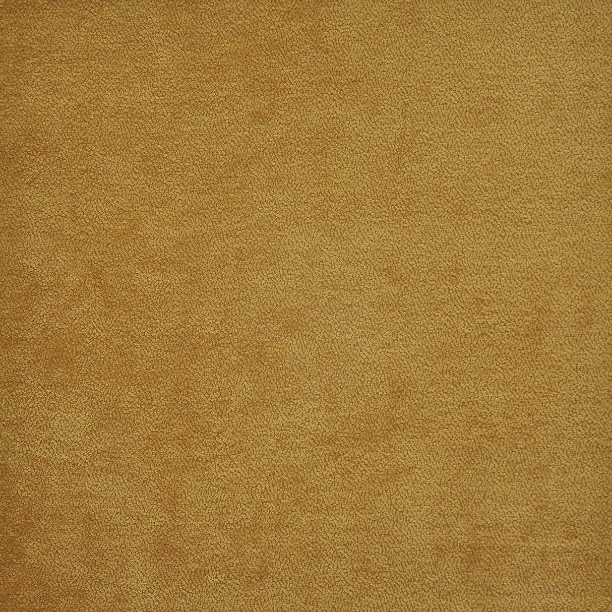 Eade’s # 816 HONEY