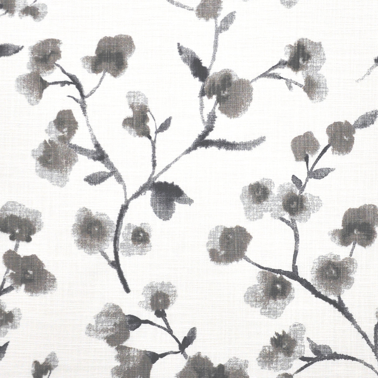 Eade’s # 501 STORM